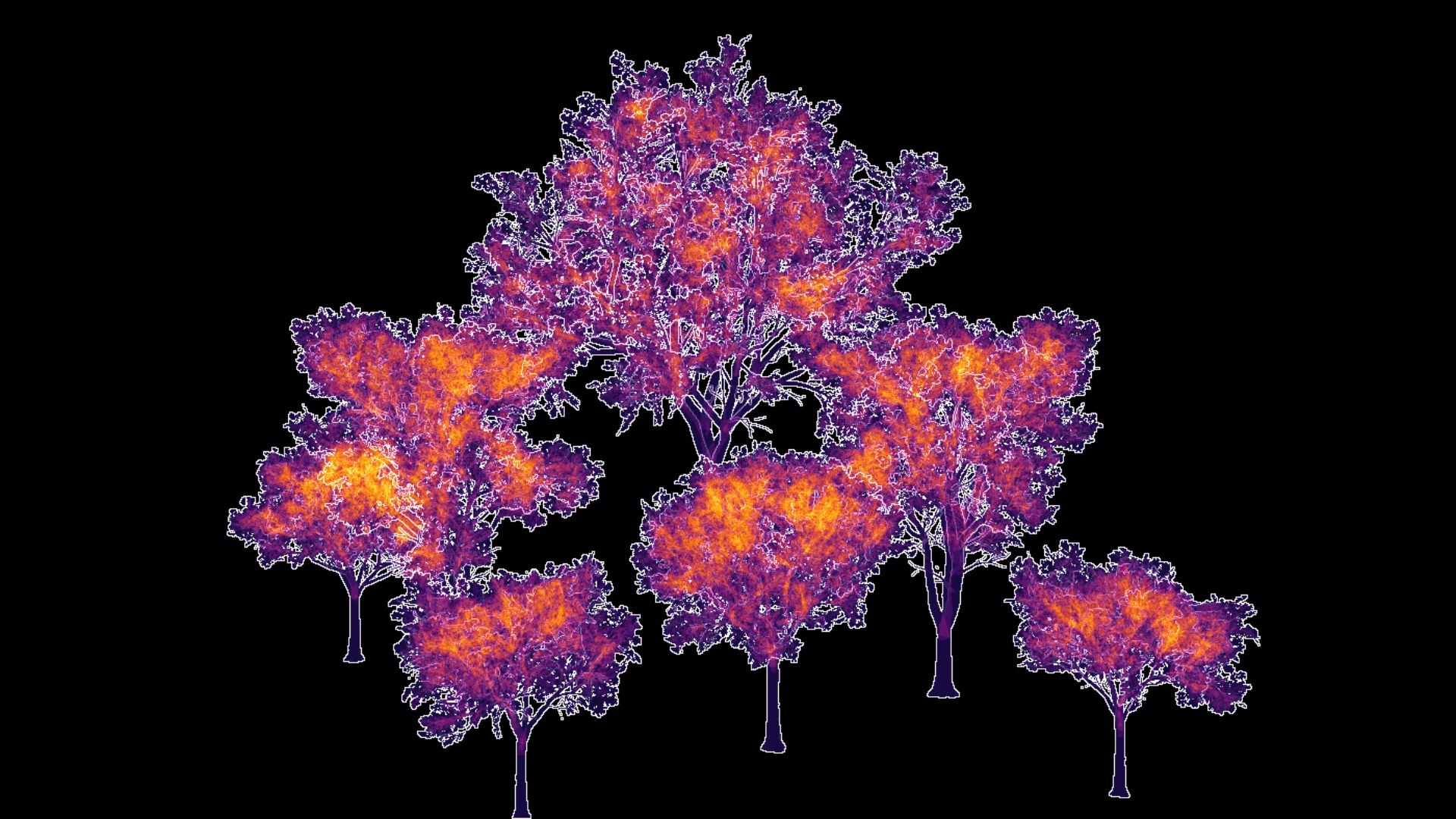 The same oaks with the cut cards: much less orange and yellow